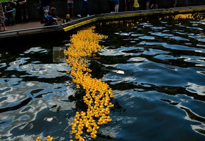 Duckrace 2022