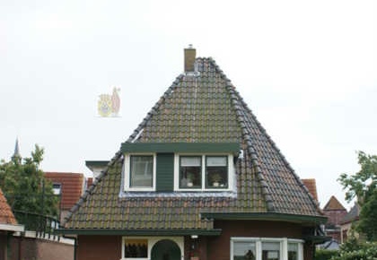 Burgemeester Goeman Borgesiusstraat