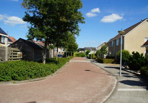 De Wiezeboom
