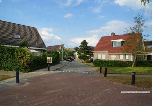 Dynselakker