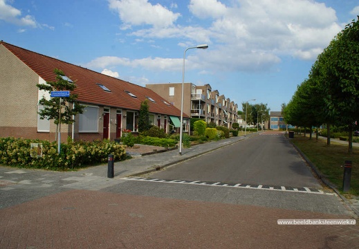 Haagswold