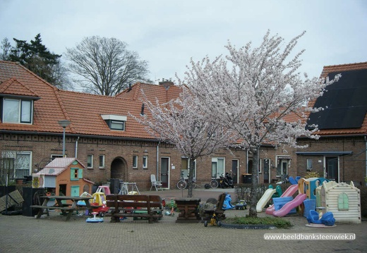 Tulpstraat