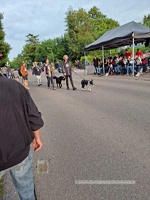 20250605 Avondvierdaagse  0555